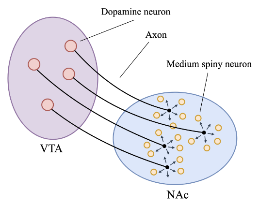 paper_dopamine.png